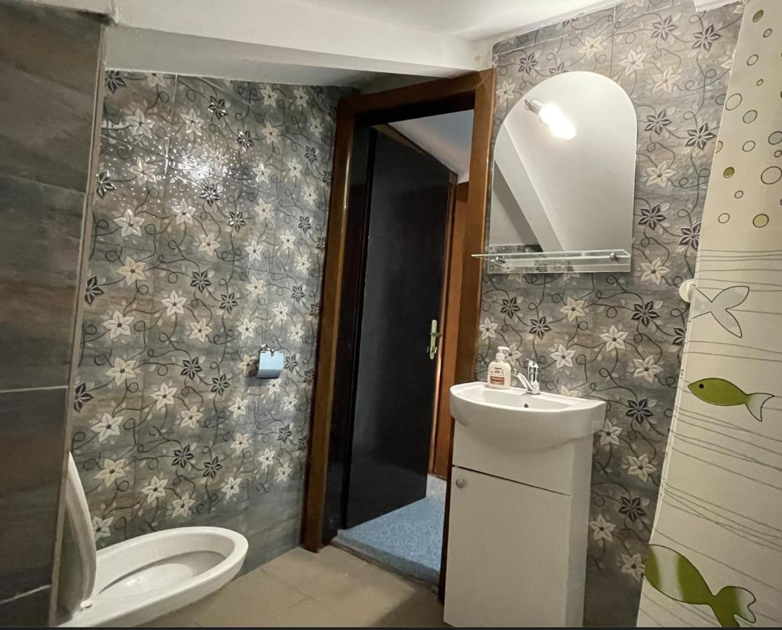 Z House Daire Sibiu Dış mekan fotoğraf