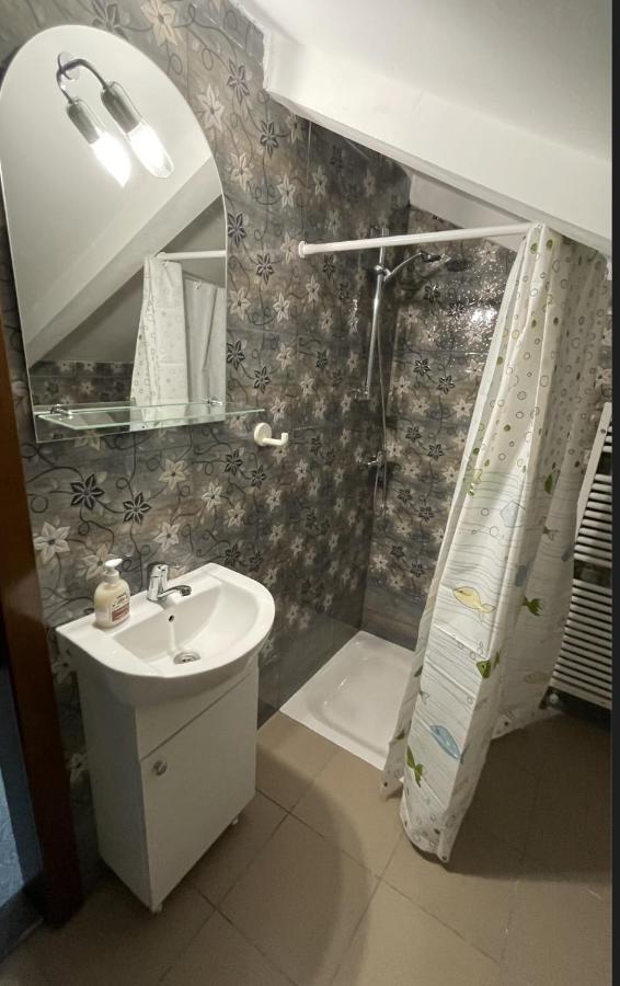 Z House Daire Sibiu Dış mekan fotoğraf