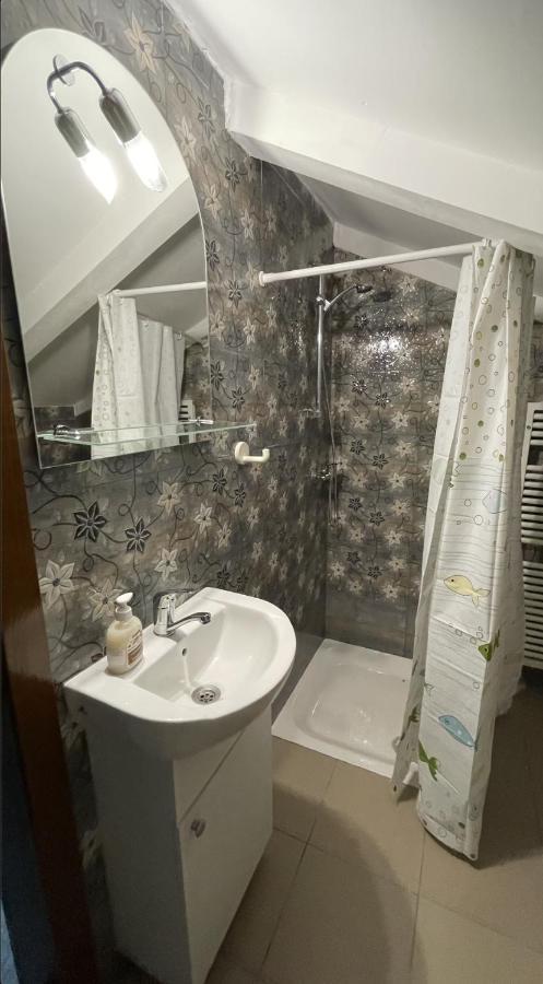 Z House Daire Sibiu Dış mekan fotoğraf